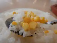 ガスト コーンのオーブン焼き