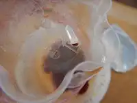 �K�X�g �v����