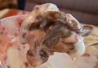 �K�X�g �A�[�j���Ƌ@��������`���R���[�g�̂������V���R���p�t�F