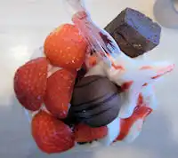 �K�X�g �A�[�j���Ƌ@��������`���R���[�g�̂������V���R���p�t�F