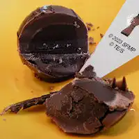 �K�X�g �A�[�j���Ƌ@��������`���R���[�g�̂������V���R���p�t�F