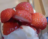 �K�X�g �A�[�j���Ƌ@��������`���R���[�g�̂������V���R���p�t�F