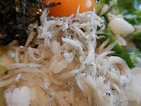 �K�X�g ���������炷�ƃI�N���̉Ă��͂�