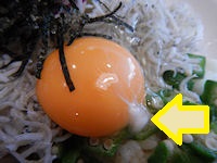 �K�X�g ���������炷�ƃI�N���̉Ă��͂�