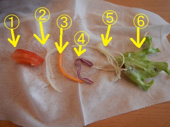 �K�X�g ���������炷�ƃI�N���̉Ă��͂�