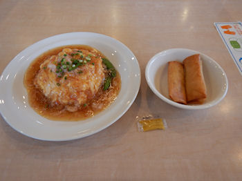 �K�X�g �V�Ô� �t����