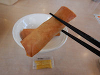 �K�X�g �V�Ô� �t����