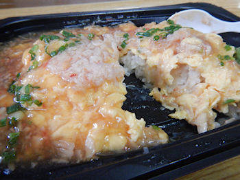 �K�X�g �V�Ô� �t����