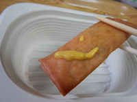 �K�X�g �V�Ô� �t����