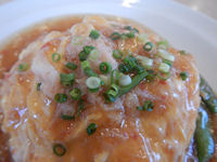 �K�X�g �V�Ô� �t����