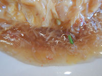 �K�X�g �V�Ô� �t����