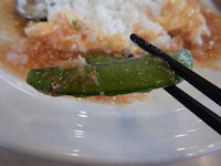 �K�X�g �V�Ô� �t����