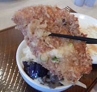 �K�X�g ���炩�|�[�N�J�c�݂����