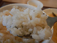 �K�X�g ���炩�|�[�N�J�c�݂����