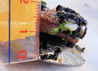 �K�X�g �ē���