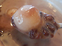 �K�X�g ���ʂ��񂴂�