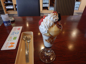 �K�X�g �v�����E�A�E���E���[�h�p�t�F