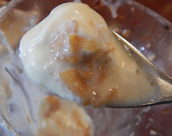 �K�X�g �v�����E�A�E���E���[�h�p�t�F