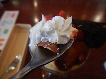 �K�X�g �v�����E�A�E���E���[�h�p�t�F