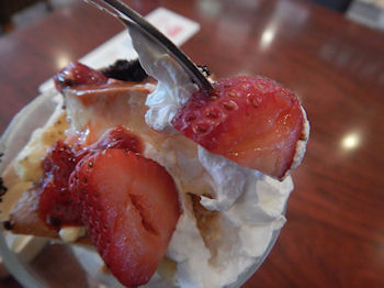 �K�X�g �v�����E�A�E���E���[�h�p�t�F