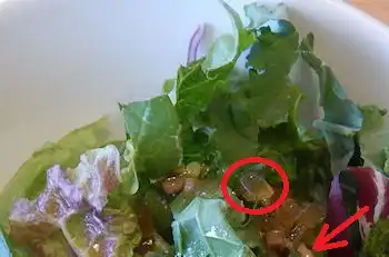 �K�X�g �A�T�C�[���[�O���g�{�E��