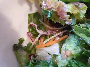 �K�X�g �A�T�C�[���[�O���g�{�E��