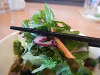 �K�X�g �A�T�C�[���[�O���g�{�E��