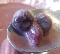 �K�X�g �A�T�C�[���[�O���g�{�E��