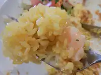 �K�X�g ���q�l�����`