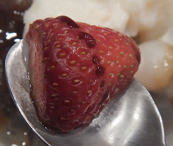 �K�X�g�@����݂�