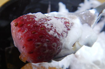 �v���V�A 䕂̂���݂�