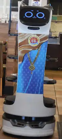 �K�X�g�@�p�N�`�[