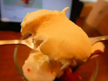 �K�X�g �o�i�i�X�v���b�g�T���f�[