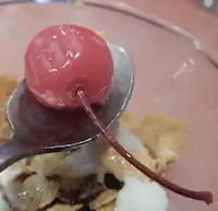 �K�X�g �o�i�i�X�v���b�g�T���f�[