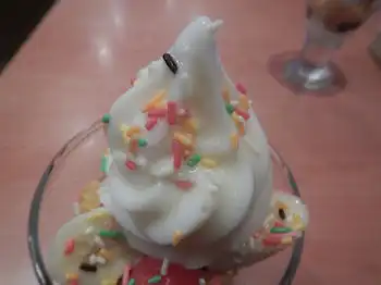 �K�X�g �o�i�i�X�v���b�g�T���f�[