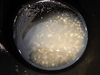 �K�X�g ���o�����ڂ���