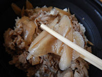 �K�X�g ���o�����ڂ���