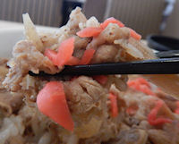 �K�X�g ���o�����ڂ���