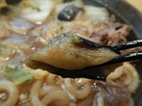 �K�X�g ����