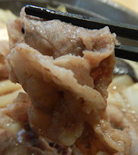 �K�X�g ����