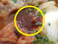 �K�X�g ���`�Q