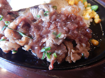 �K�X�g ���J���r�Ă����͂�ڋʏĂ��Y��