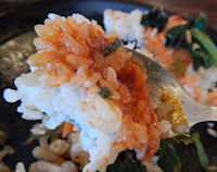 �K�X�g �r�r���o�[�O���͂�