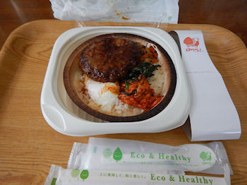 �K�X�g �r�r���o�[�O���͂�