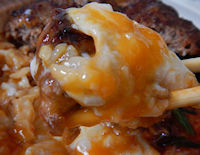 �K�X�g �r�r���o�[�O���͂�