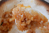 �K�X�g �r�r���o�[�O���͂�