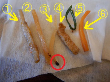 �K�X�g �r�r���o�[�O���͂�