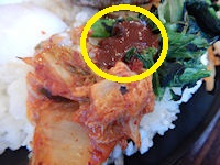 �K�X�g �r�r���o�[�O���͂�