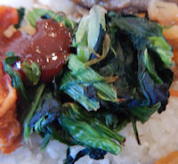 �K�X�g �r�r���o�[�O���͂�