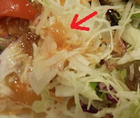 �K�X�g ���|����g��